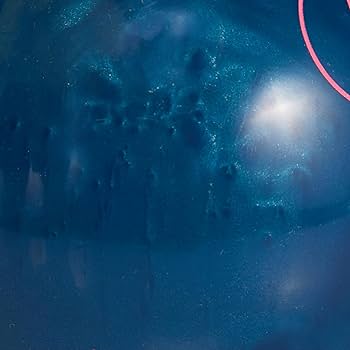 Amazon | Storm Fate 15ポンド | Storm | 槍投げ